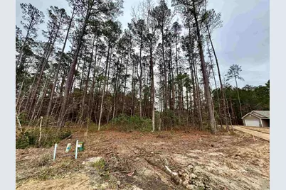 200 Joanna Gillard Ln., Georgetown, SC 29440 - Photo 1