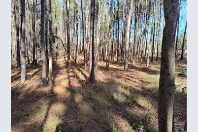 Tbd County Line Rd., Andrews, SC 29510 - Photo 1