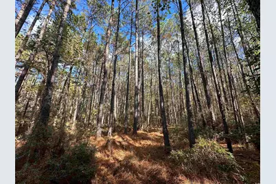 26 Acres-Tbd Puncheon Creek Dr., Andrews, SC 29510 - Photo 1