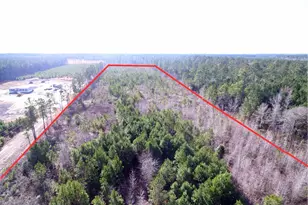 Tbd Southwind Rd, Pamplico, SC 29583 - Photo 1