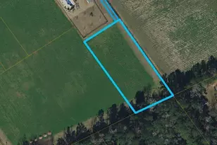 Tbd S Keys Field Circle, Conway, SC 29527 - Photo 1