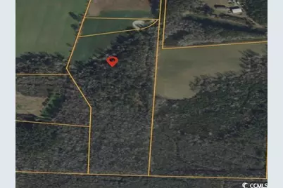 160 Joey Lane, Conway, SC 29526 - Photo 1