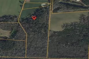 160 Joey Ln, Conway, SC 29526 - Photo 1