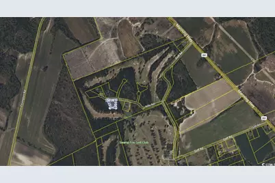 Tbd Rifle Rd., Greeleyville, SC 29056 - Photo 1