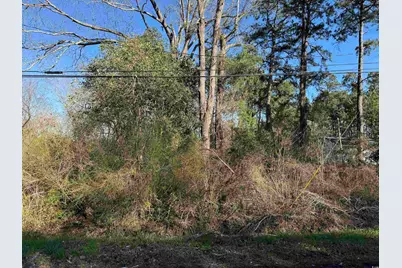 Tbd N Farr Ave., Andrews, SC 29510 - Photo 1