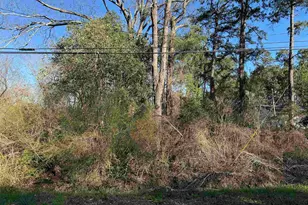 Tbd N Farr Ave, Andrews, SC 29510 - Photo 1