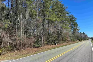 Allen Dew Rd, Conway, SC 29527 - Photo 1