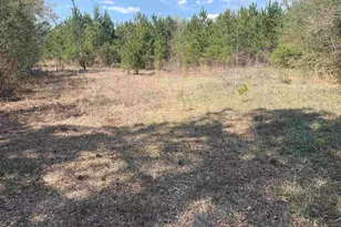 Tbd Hayfield Rd, Georgetown, SC 29440 - Photo 1