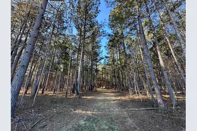 Tbd Rocky Ford Rd., Salters, SC 29590 - Photo 1