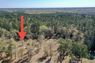 Tbd Nichols St, Nichols, SC 29581 - Photo 1