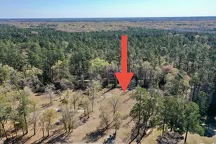 Tbd Nichols St, Nichols, SC 29581 - Photo 1