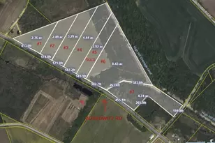 Tract 2 Borkowitz Rd, Scranton, SC 29591 - Photo 1