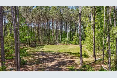 Kickapoo Dr., Green Sea, SC 29545 - Photo 1