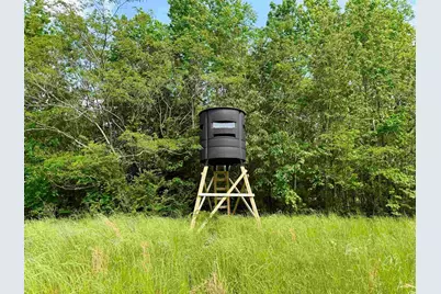 16.42 Acres-Tbd Mary Rd., Salters, SC 29590 - Photo 1