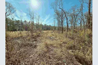 Tbd 4 Pauley Swamp Rd., Conway, SC 29527 - Photo 1