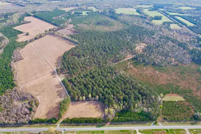 1339 Johnsonville Hwy., Lake City, SC 29560 - Photo 1