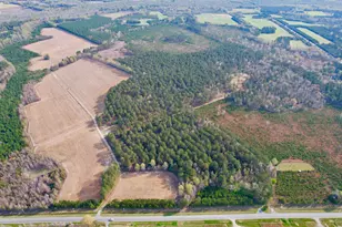 1339 Johnsonville Hwy, Lake City, SC 29560 - Photo 1