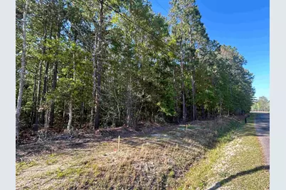 Tbd Buck Dr., Georgetown, SC 29440 - Photo 1