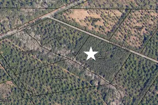 0 Samworth Loop, Georgetown, SC 29440 - Photo 1
