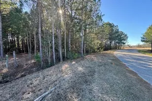 Tbd Lot 3 Night Owl Ln, Conway, SC 29527 - Photo 1