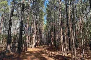 Tbd Union Church Rd, Salters, SC 29590 - Photo 1