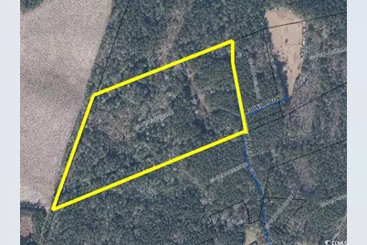 Tbd Thatchpalm Ct., Georgetown, SC 29440 - Photo 1