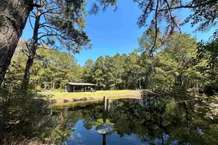 5 47 Acres-Tbd High Hill Rd, Scranton, SC 29591 - Photo 1