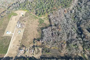 42 5 Acres Case St, Darlington, SC 29532 - Photo 1