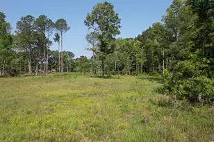 Tbd Samuels Ave, Salters, SC 29590 - Photo 1