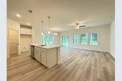 260 Palmetto Sand Loop, Conway, SC 29527 - Photo 3