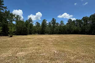 218 Samworth Loop, Georgetown, SC 29440 - Photo 1