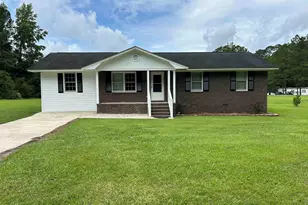 876 S Clay Field Rd, Johnsonville, SC 29555 - Photo 1