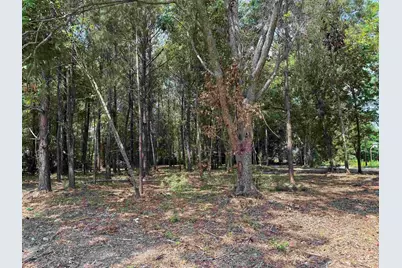 2 Lots - Tbd S Rosemary Ave., Andrews, SC 29510 - Photo 1