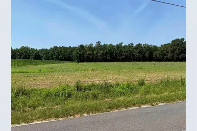 Tbd Highway 668, Conway, SC 29526 - Photo 1
