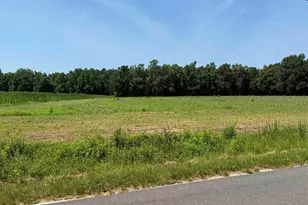 Tbd Hwy 668, Conway, SC 29526 - Photo 1