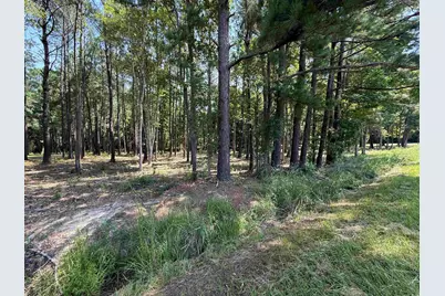 Lot 3 Highway 668, Conway, SC 29526 - Photo 1