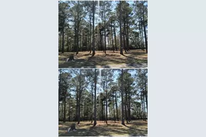 1148 Fiddlehead Way, Myrtle Beach, SC 29579 - Photo 1