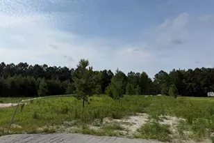 Lot 1 W G Rd, Conway, SC 29526 - Photo 1