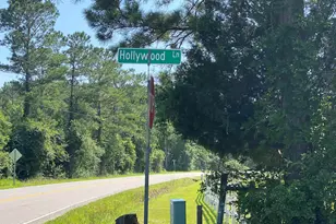 Tbd Hollywood Ln, Conway, SC 29526 - Photo 1