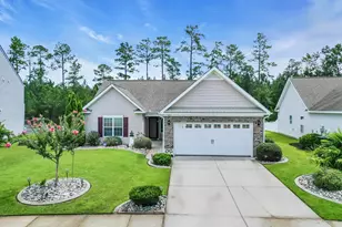 1321 Midtown Village Dr, Conway, SC 29526 - Photo 1