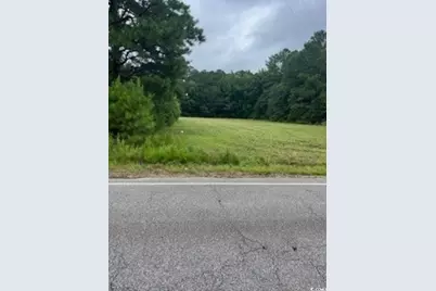 Lots 3 & 4 Anderson Bridge Rd, Coward, SC 29530 - Photo 1