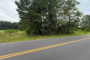 3082 Wise Rd, Conway, SC 29526 - Photo 1