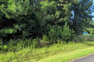 Tbd Pecan Ln, Conway, SC 29526 - Photo 1