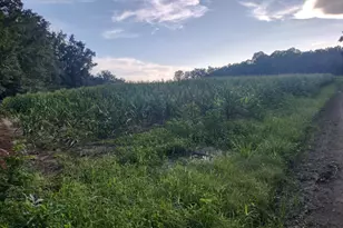 Tbd Beaver Rd, Hemingway, SC 29554 - Photo 1