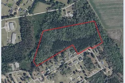 Tbd Carver Hall Rd, Hamer, SC 29547 - Photo 1