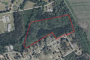 Tbd Carver Hall Rd, Hamer, SC 29547 - Photo 1