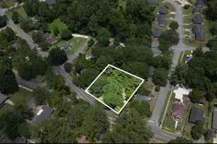 Tbd Palmetto St, Conway, SC 29527 - Photo 1