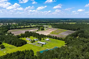 Tb Hwy 90, Conway, SC 29526 - Photo 1