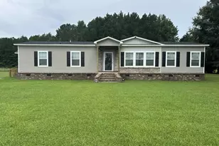 56 Joy Rd, Hemingway, SC 29554 - Photo 1