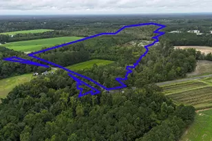 1237 Spring Garden Rd, Conway, SC 29527 - Photo 1